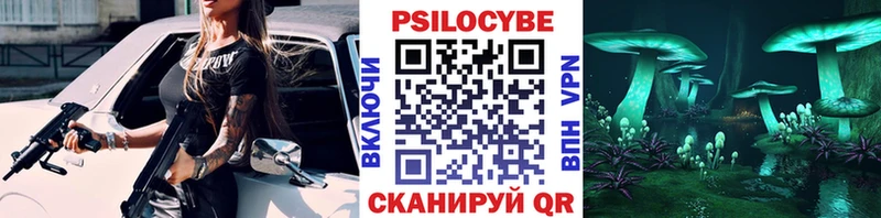 Псилоцибиновые грибы Psilocybine cubensis  что такое   Покровск 